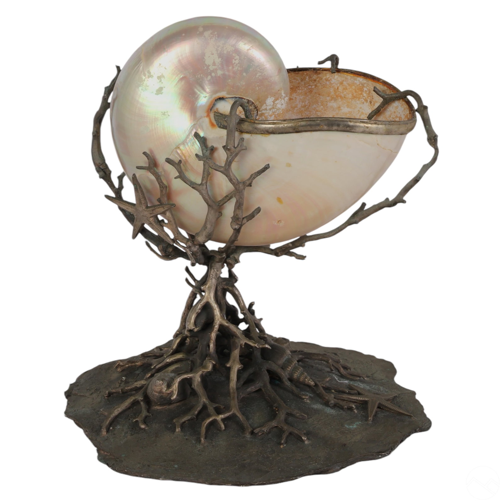 Maitland Smith Nautilus Shell Bronze Coral Vase (1 of 5)