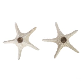 Pair of Sterling and Natural Starfish Candleholder