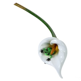 Tim FROGMAN Cotterill Bronze CALLA LILY Sculpture