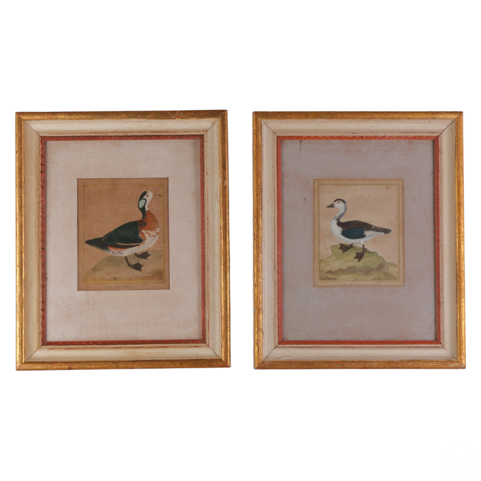 Francois Nicolas Martinet Pr of French Book Plates (1 of 8)