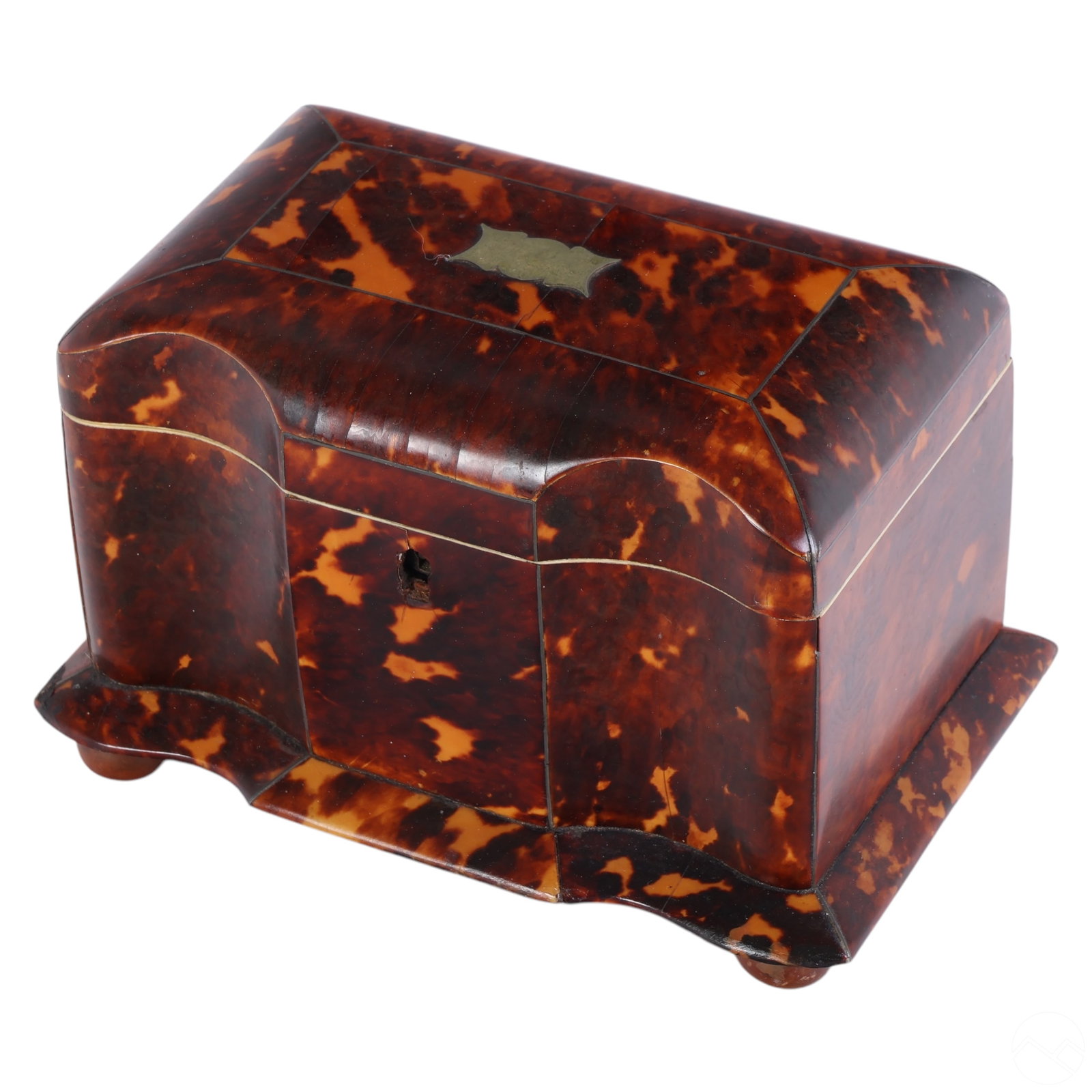 English Victorian 19C Faux Tortoiseshell Tea Caddy (1 of 8)