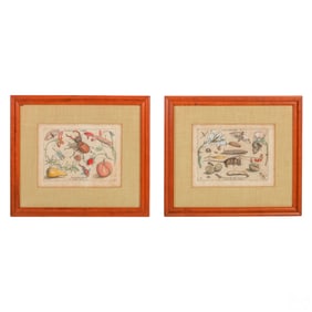 Antique Hoefnagel Insect Archetype Engravings LOT
