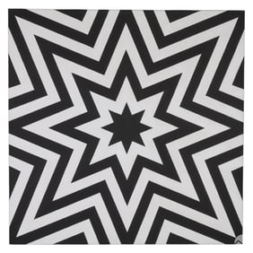 Tim Ray Fisher b.1969 Black & White Star Painting