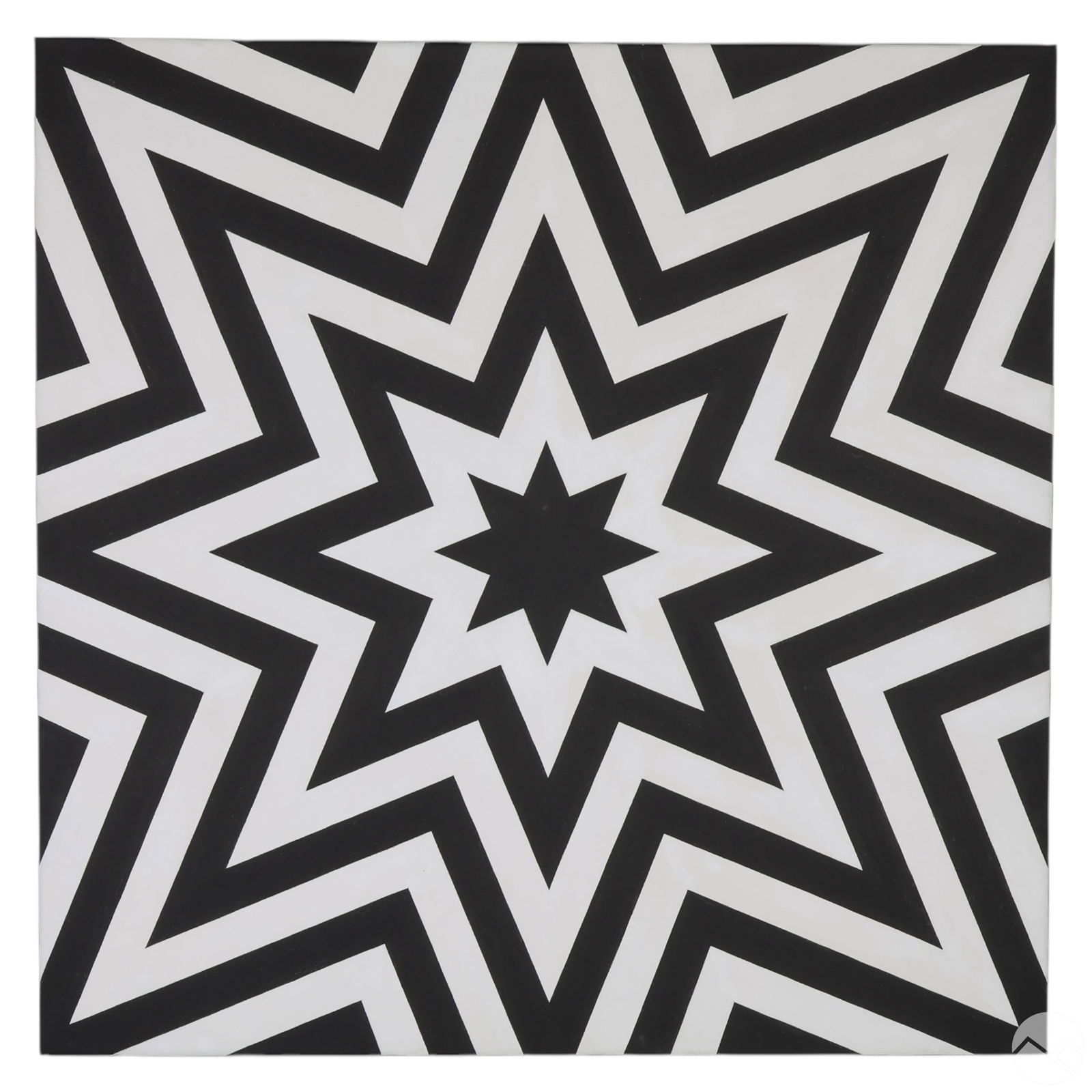 Tim Ray Fisher b.1969 Black & White Star Painting (1 of 6)