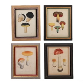 French Antique Mushroom Color Engraving Prints LOT