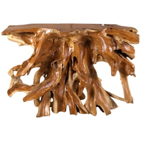 Gnarly Teak Wood Organic Wild Root Console Table
