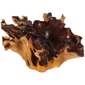 Modernist Sculptural Gnarly Rosewood Coffee Table