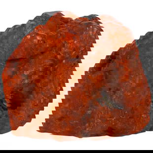 Large Raw Natural Amber Fossil Resin Specimen 880g: Jumbo petrified piece of natural raw amber exhibiting rich butterscotch and cognac hues with visible organic inclusions. The surface presents natural oxidation, undulating nodules, and textural variat