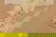 item-208958876=3