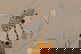 item-208958880=3