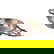 item-208958954=9