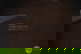 item-208959004=10