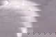 item-208959004=12