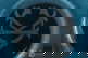 item-208959007=5