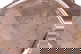 item-210806174=7