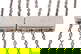 item-210806175=9