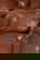 item-210806233=4