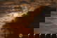 item-210806259=2