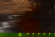 item-210806259=3