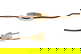 item-210806285=10
