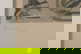 item-210806339=4