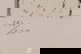 item-210806340=5