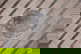 item-210806449=6
