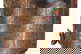 item-210806452=10