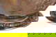 item-210806452=9