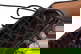 item-210806467=6