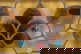 item-210806517=4