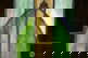 item-210806520=4