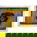item-210806521=1