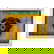 item-210806521=6