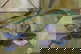 item-210806522=4