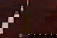 item-210806525=6