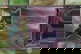 item-210806595=4