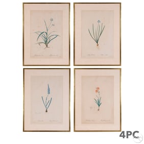 PJ Redoute Set Four Antique Botanical Engravings