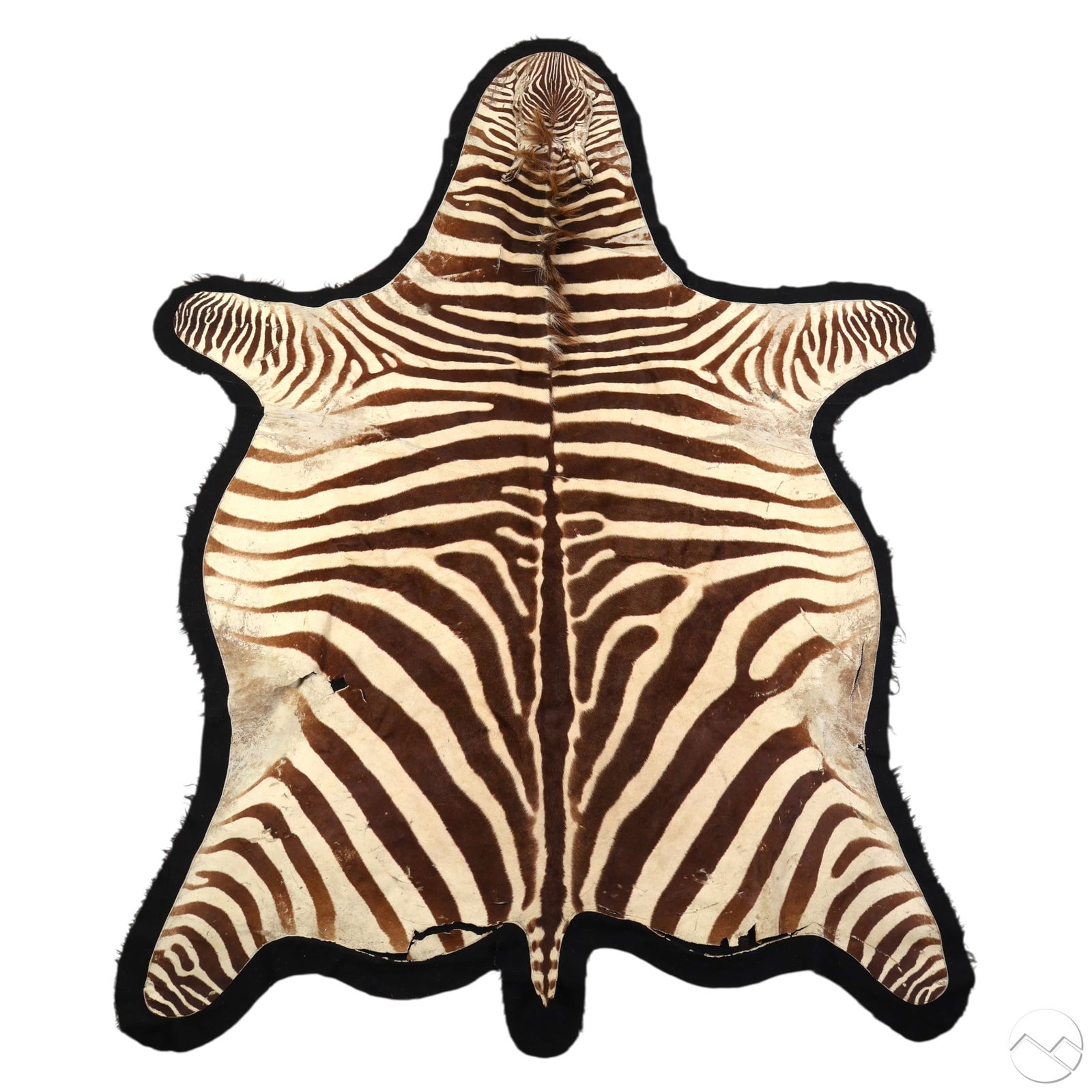 Vintage Full Bodied Zebra Skin Rug 93 Inches Long (1 of 7)