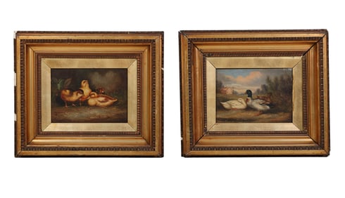 Farmyard Chicken Duck Bird Pr Oil Paintings SIGNED