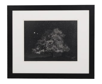 Neil Folberg b.1950 Oak Tree Photograph SIGNED