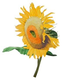 Debbie Carfagno Steel Cut Out Floral Oil Painting