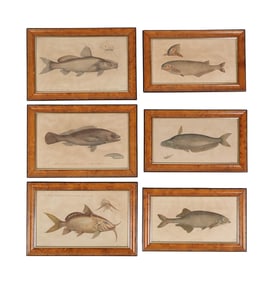 Henri Joseph Redoute 1776-1852 Fish Engravings LOT