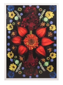 Portia Munson b.1961 Chinese Lantern Pigment Print