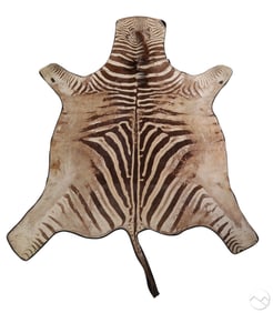 Natural Full Zebra Hide 112" Area Floor Carpet Rug