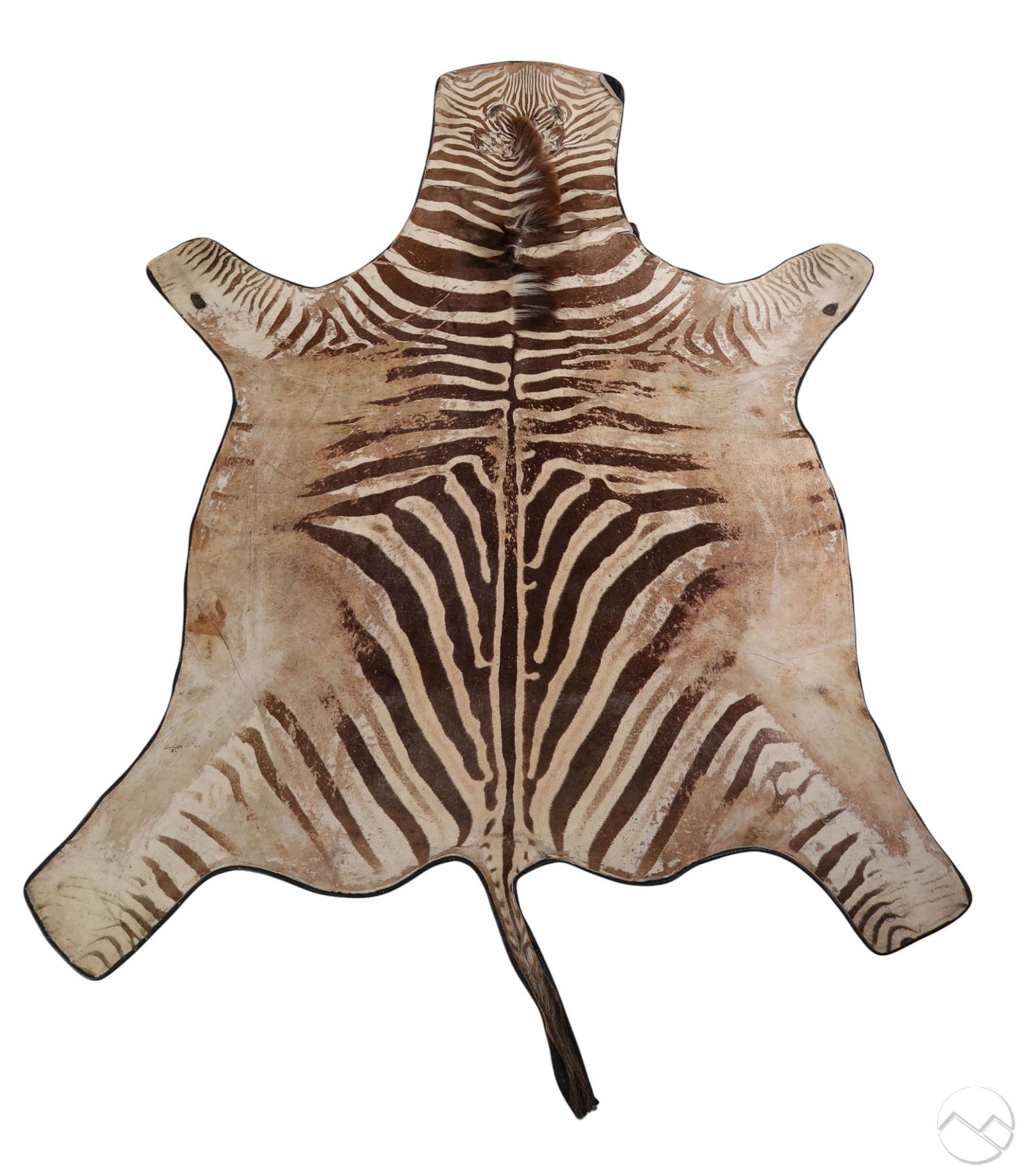 Natural Full Zebra Hide 112" Area Floor Carpet Rug (1 of 9)