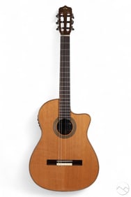 Cordoba Fusion Orchestra Acoustic Electric Guitar