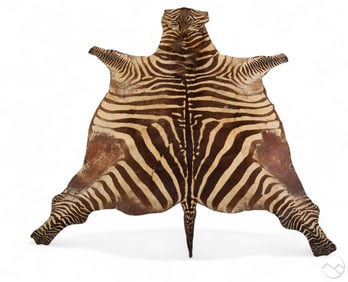 Natural Full Wild Zebra Hide Area Floor Carpet Rug