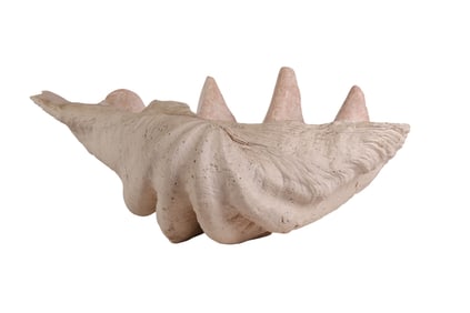 Giant Cast Ceramic Gigas Type Clam Shell Planter