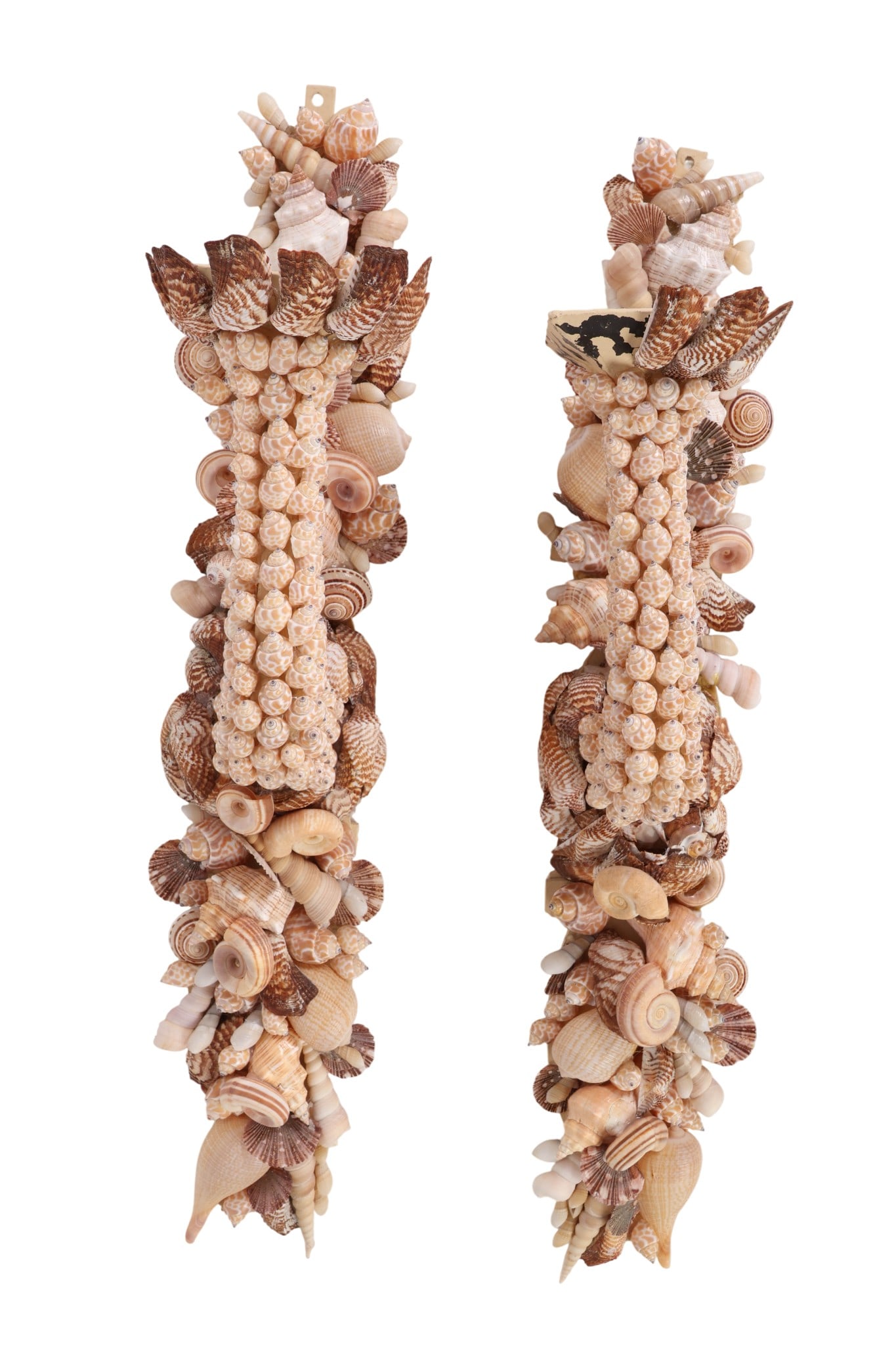 Pair of Palm Beach Regency Shell Encrusted Sconces (1 of 10)